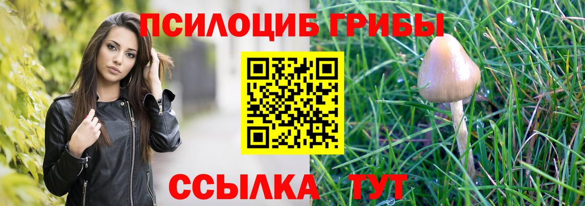 Галлюциногенные грибы мицелий Гусиноозёрск